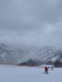 とうとう雪が降りました。。。